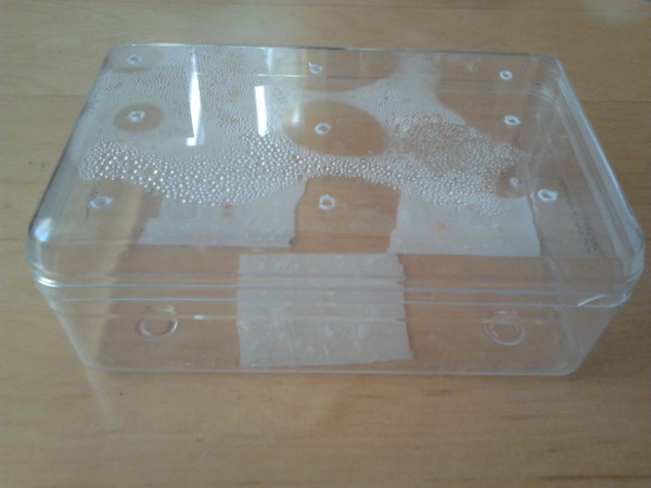 germbox_2