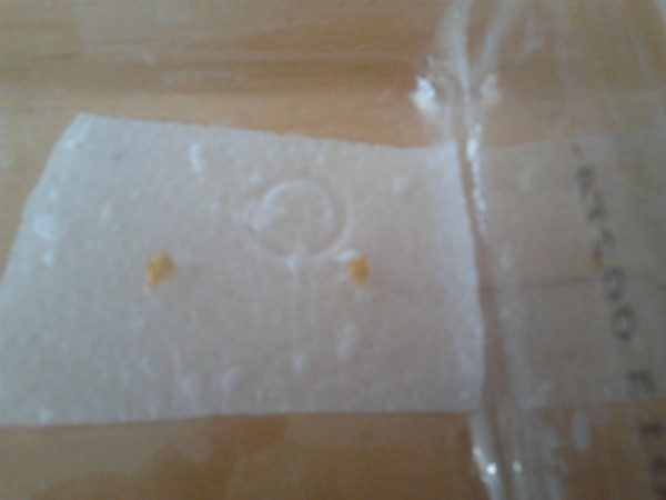 germbox_4