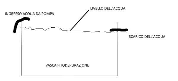 schemaVascaFitodepurazione